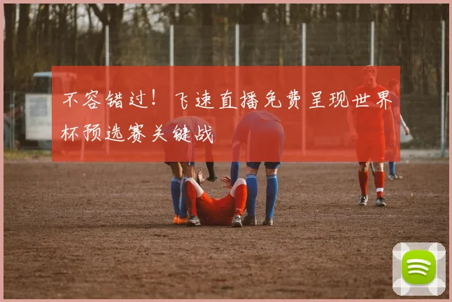 不容错过！飞速直播免费呈现世界杯预选赛关键战